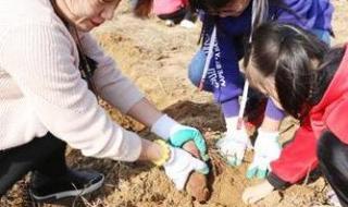 中考志愿可以填几个第一志愿跟第二志愿有什么区别啊 第一志愿和第二志愿