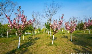 漯河医专录取结果出来了吗 漯河医专新校区