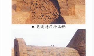 区社会治理中心党组书记是什么级别 社区书记是什么级别