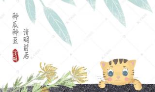 春天吃青团有什么寓意 清明节吃青团的寓意